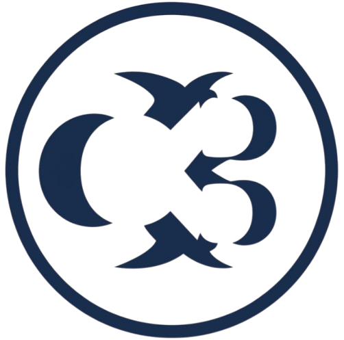 C3 Fintech